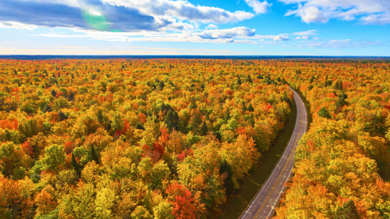 Stunning Places Across Michiana to View Peak Fall Colors | Cressy & Everett Real Estate